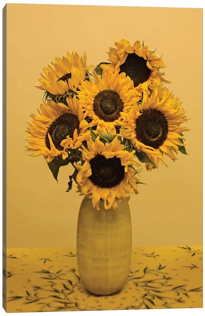 Sunflowers Canvas Art Print - Monochromatic Photography