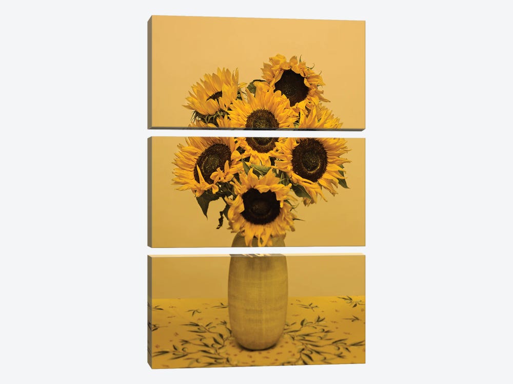 Sunflowers by Michael Frank 3-piece Canvas Art