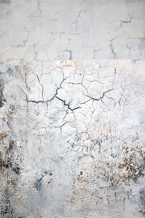 Cracks by Martina Hartusch wall art