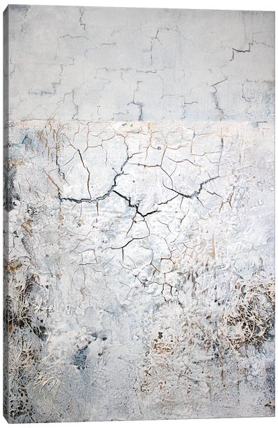 Cracks Canvas Art Print - Brutalism