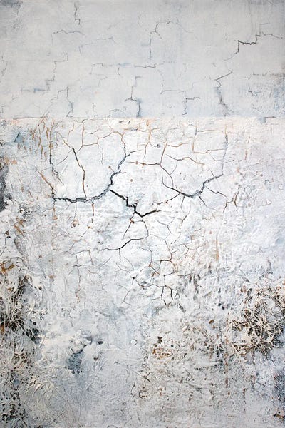 Martina Hartusch: Cracks by Martina Hartusch