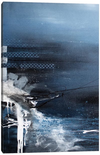 Jump Into Blue Canvas Art Print - Martina Hartusch