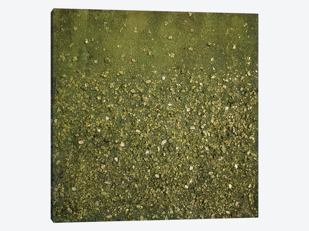 Sap Green by Martina Hartusch 1-piece Canvas Art