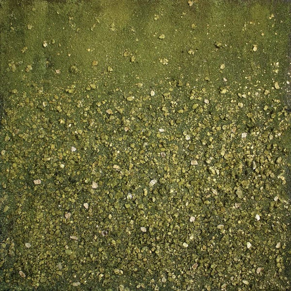 Martina Hartusch: Sap Green by Martina Hartusch