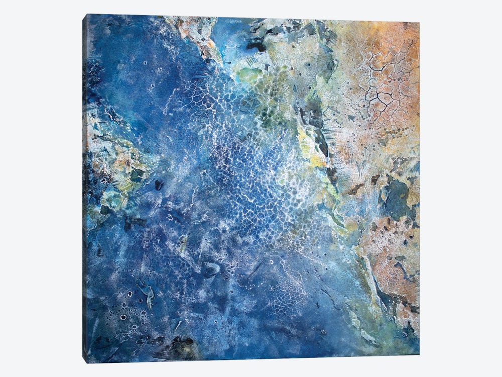 Satellite Image Of A Second Earth by Martina Hartusch 1-piece Art Print