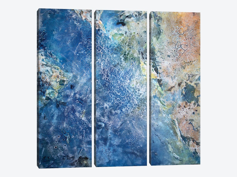 Satellite Image Of A Second Earth by Martina Hartusch 3-piece Canvas Art Print