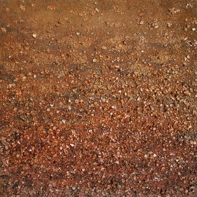 Sparkling Orange by Martina Hartusch multi panel art