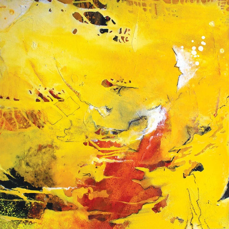 Sunshine Reggae by Martina Hartusch wall art