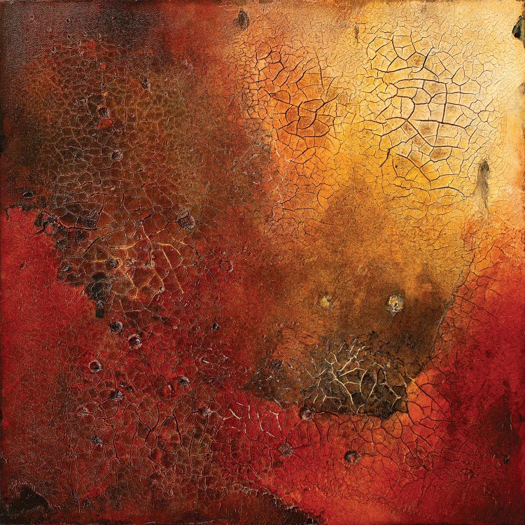 The Burning by Martina Hartusch wall art