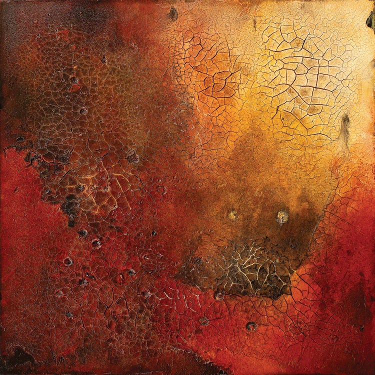 The Burning by Martina Hartusch canvas print
