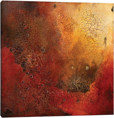 The Burning Canvas Art Print - Red Abstract Art