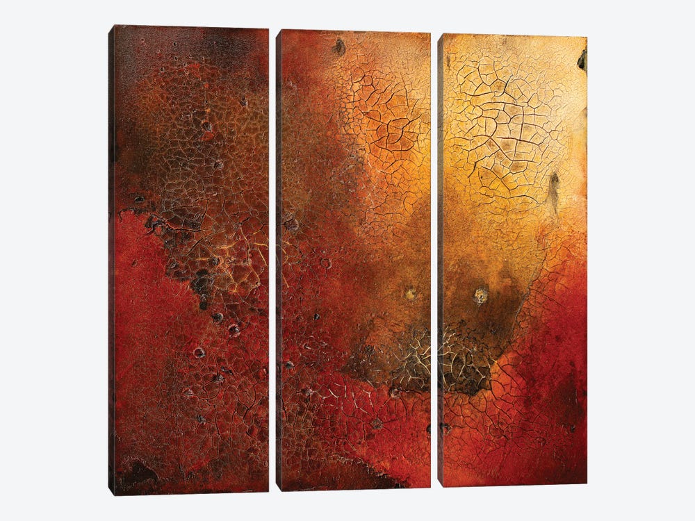 The Burning by Martina Hartusch 3-piece Canvas Art