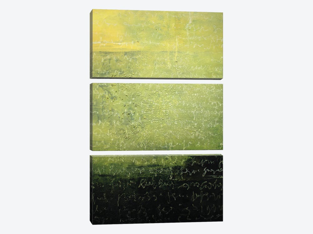 Written On Green by Martina Hartusch 3-piece Canvas Print
