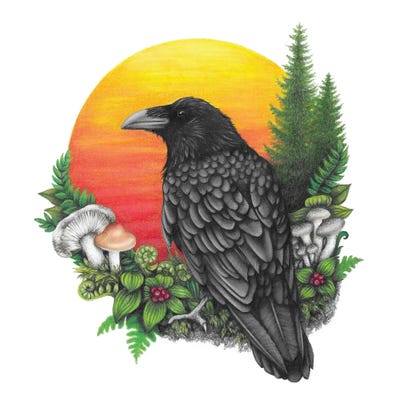 Raven And Sun by Mandy Heck canvas print