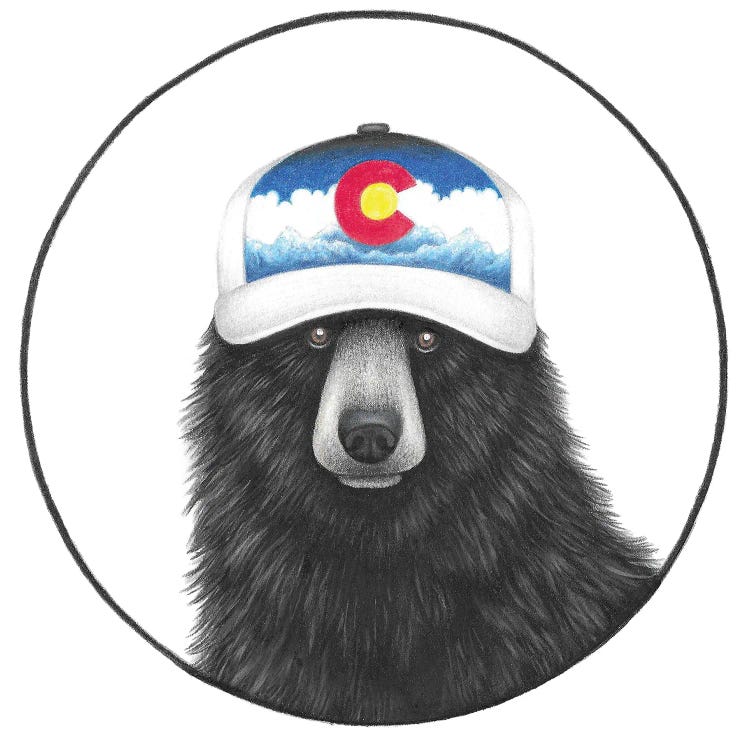 Colorado Bear