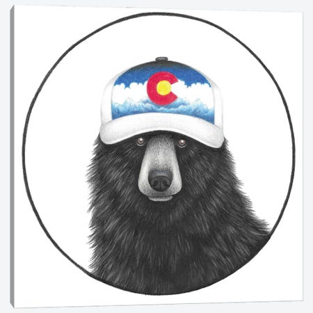 Colorado Bear Canvas Print #MHK10} by Mandy Heck Canvas Print