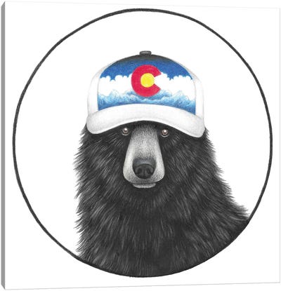 Colorado Bear Canvas Art Print - Black Bear Art