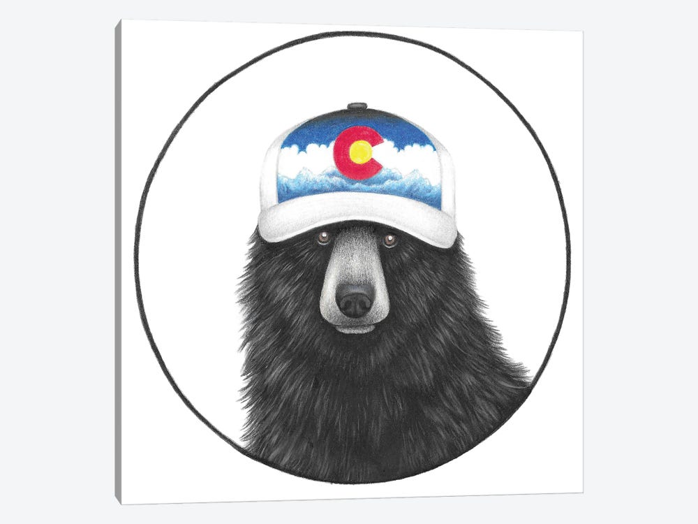 Colorado Bear by Mandy Heck 1-piece Canvas Artwork