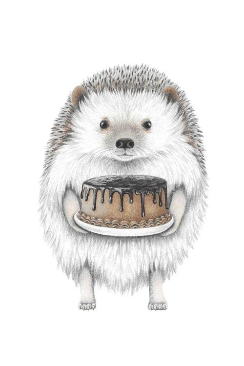 Hedgehog With Cake