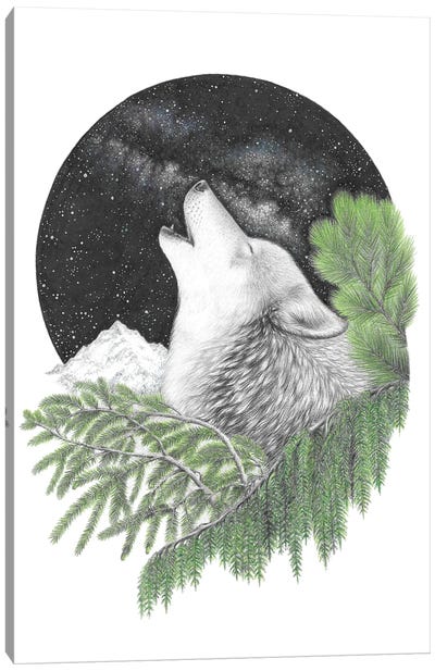 Howling Wolf Canvas Art Print - Mandy Heck