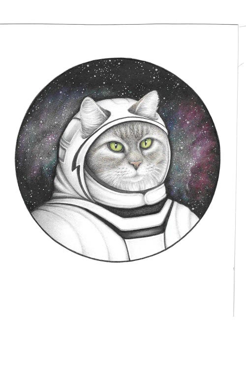 Space Cat