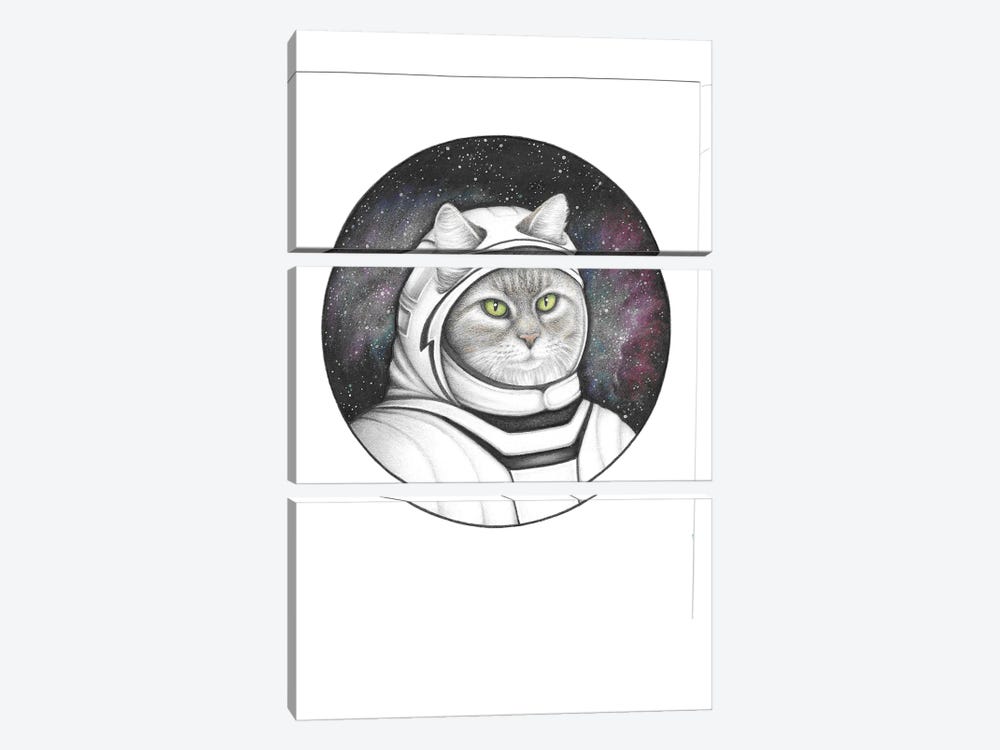 Space Cat by Mandy Heck 3-piece Canvas Artwork