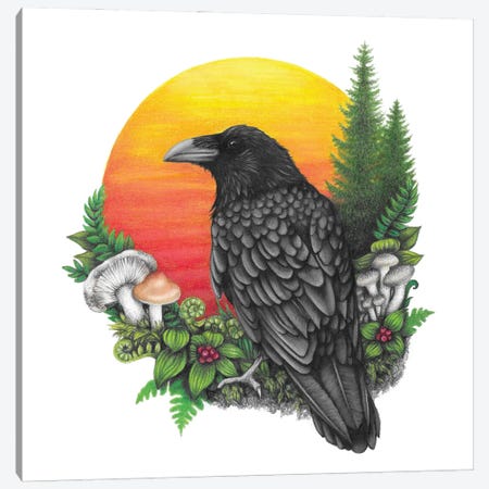 Raven And Sun Canvas Print #MHK1} by Mandy Heck Canvas Art Print