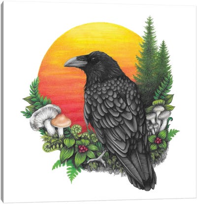 Raven And Sun Canvas Art Print - Raven Art