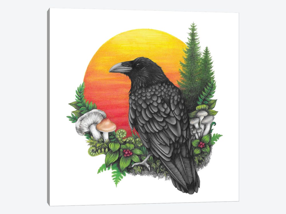 Raven And Sun by Mandy Heck 1-piece Canvas Art Print