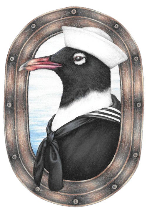 Sailor Gull