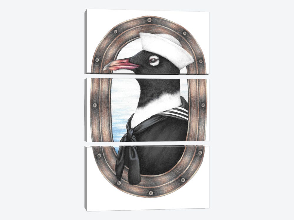Sailor Gull by Mandy Heck 3-piece Canvas Print