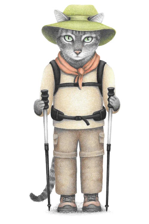 Hiker Cat