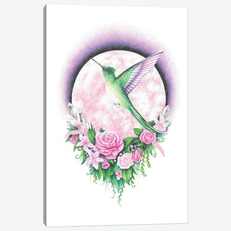 Hummingbird And A Pink Moon Canvas Print #MHK23} by Mandy Heck Canvas Art