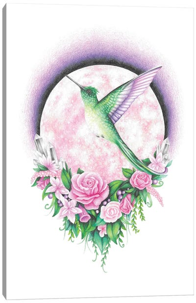 Hummingbird And A Pink Moon Canvas Art Print - Mandy Heck