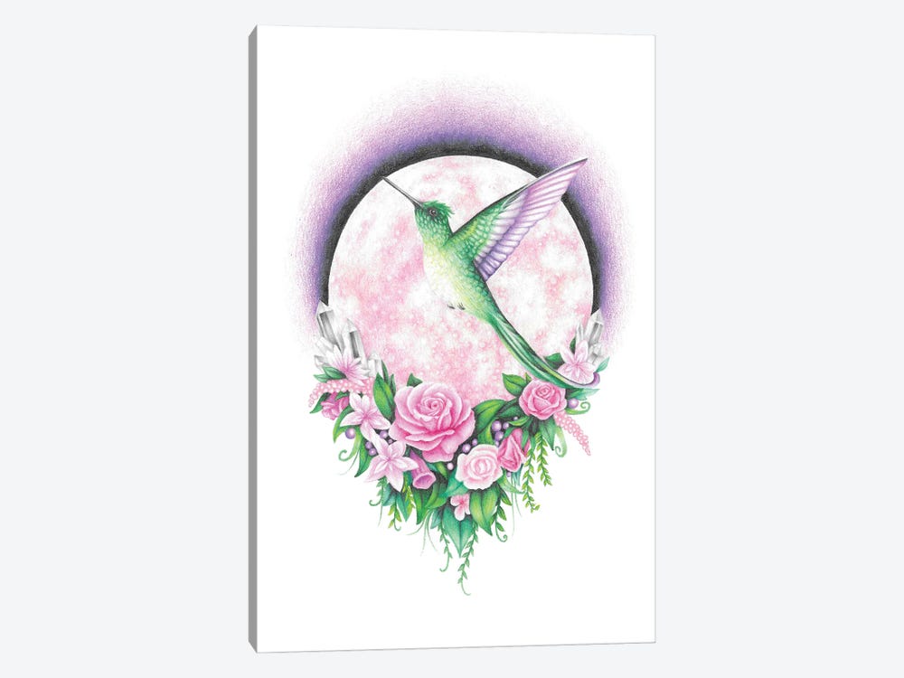 Hummingbird And A Pink Moon by Mandy Heck 1-piece Canvas Wall Art