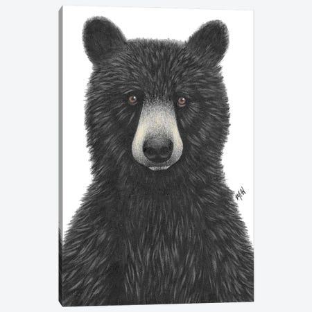 Black Bear Mother and Cubs - Mama Bear Solid-Faced Canvas Print