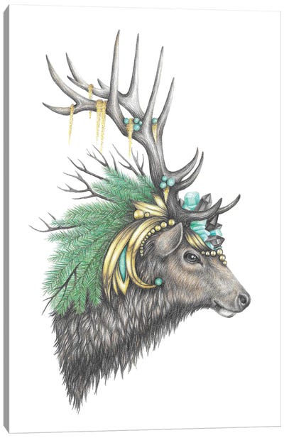 Majestic Elk Canvas Art Print - Mandy Heck