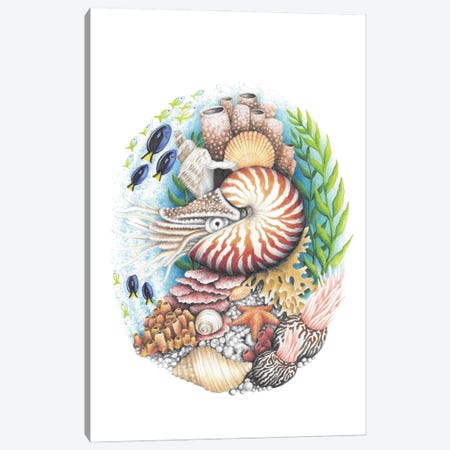 Nautilus And Coral Reef Canvas Print #MHK28} by Mandy Heck Canvas Artwork