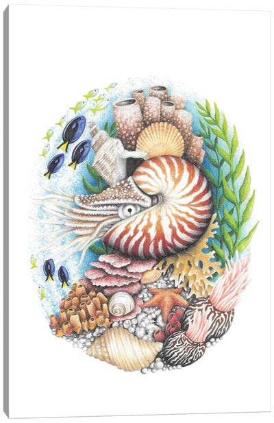 Nautilus And Coral Reef Canvas Art Print - Ocean Treasures