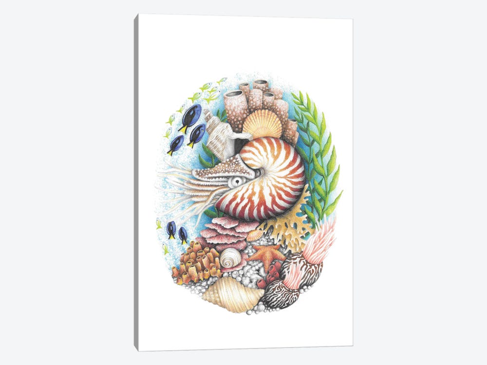 Nautilus And Coral Reef by Mandy Heck 1-piece Canvas Print