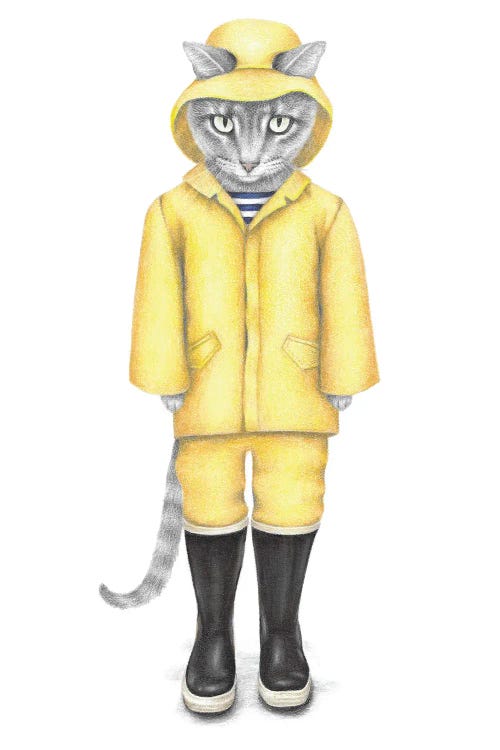 Rain Cat