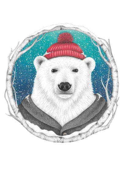 Polar Bear by Mandy Heck canvas print