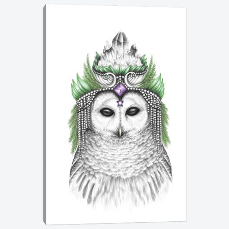 Majestic Barred Owl Canvas Print #MHK31} by Mandy Heck Art Print