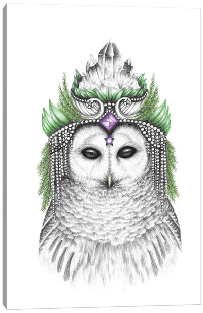 Majestic Barred Owl Canvas Art Print - Mandy Heck