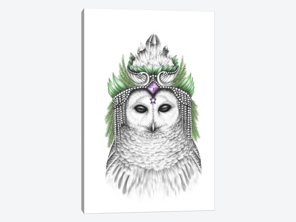 Majestic Barred Owl 1-piece Canvas Art Print