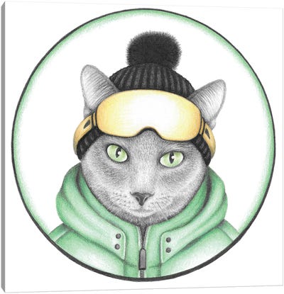 Gray Ski Cat Canvas Art Print - Skiing Art