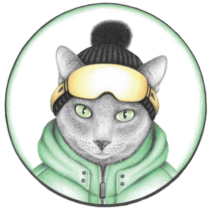 Gray Ski Cat