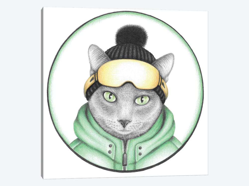 Gray Ski Cat by Mandy Heck 1-piece Canvas Artwork