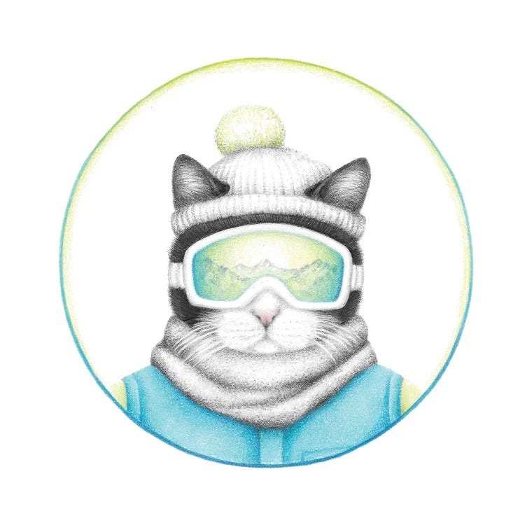 Black And White Ski Cat