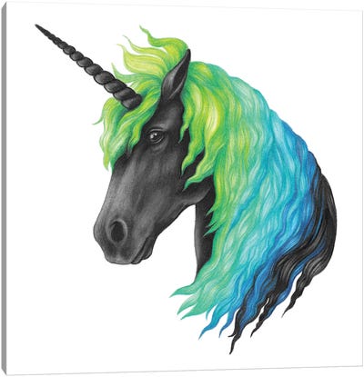 Black Unicorn Canvas Art Print - Friendly Mythical Creatures